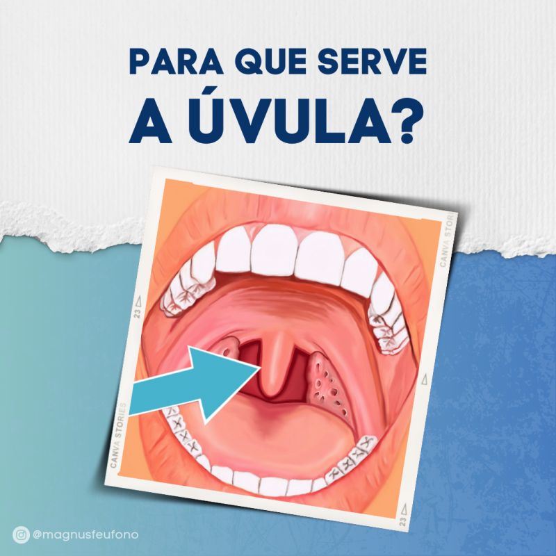 Para que serve a úvula?