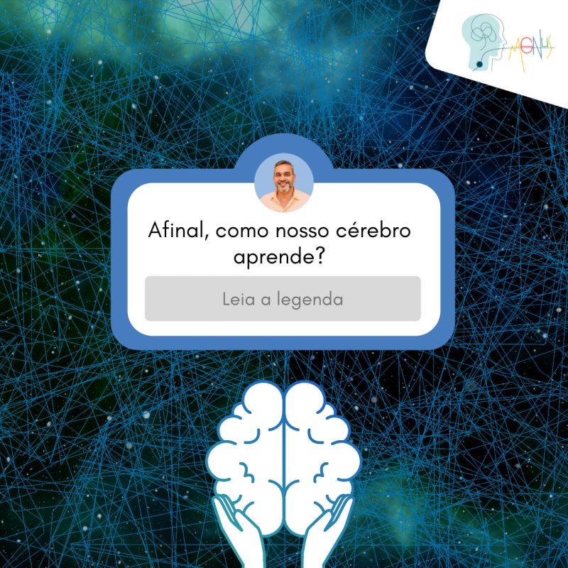 Como funciona nosso cérebro?