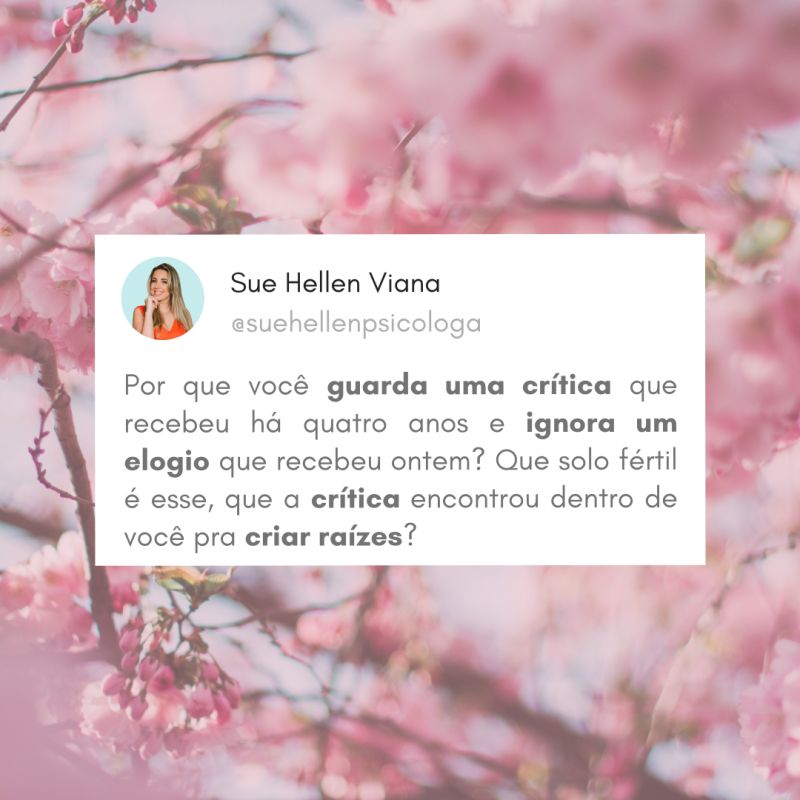 Críticas e Elogios